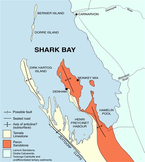 Geology - Shark Bay