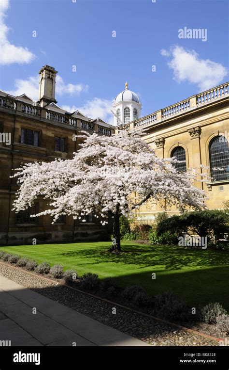 Clare College, Cambridge, England, UK Stock Photo - Alamy