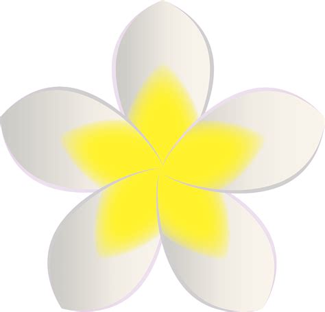 Clipart Frangipani