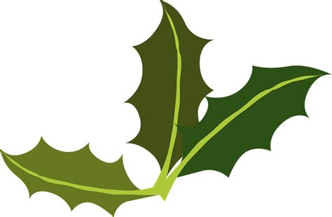 Lorbeerblätter Grün Stechpalme · Kostenlose Vektorgrafik auf Pixabay