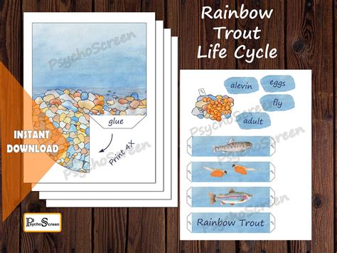 RAINBOW TROUT Unit Study MEGA Printable Fish Bundle Anatomy, Life Cycle, 3D Model, Cards ...