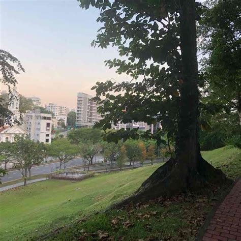 Fort Canning Park - Park in the city Run - Singapore, Central Region | Pacer