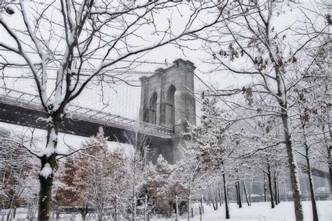 10 Fun & Interesting Brooklyn Bridge Facts (History, Info and More!)