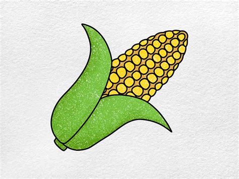 How to Draw a Corn Cob - HelloArtsy