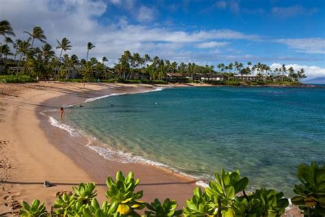 Best Beaches Around Lahaina: Travel Guide on Tripadvisor