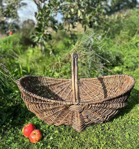 Vintage French Harvest Fruit Basket - Little Garden Shop | Claudia de ...