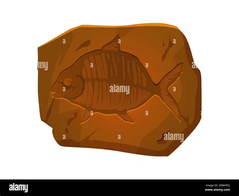 Fish fossil scale Stock Vector Images - Alamy