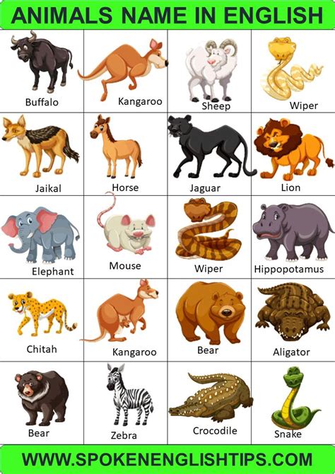 an animal name in english with pictures of different animals and their ...