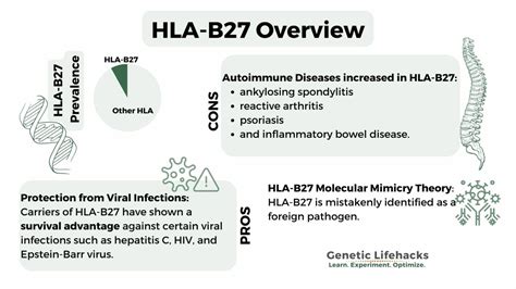 HLA-B27: How to check your genetic raw data