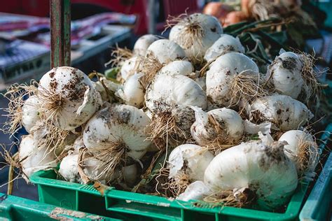 garlic, market, Dirty, Malta, food, freshness, vegetable, raw Food, CC0 ...