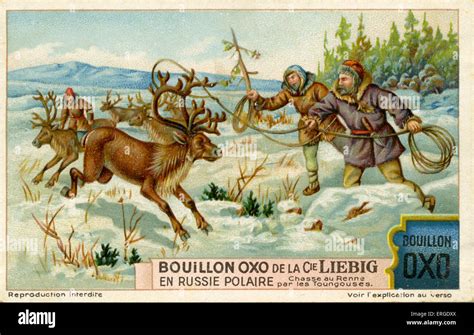 Tungusic hunters catching reindeer, 1928. Linguistic grouping of peoples who speak language of ...