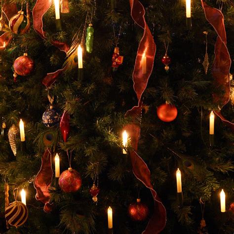 Craigdarroch Castle Christmas tree closeup | Jenny Reiswig | Flickr