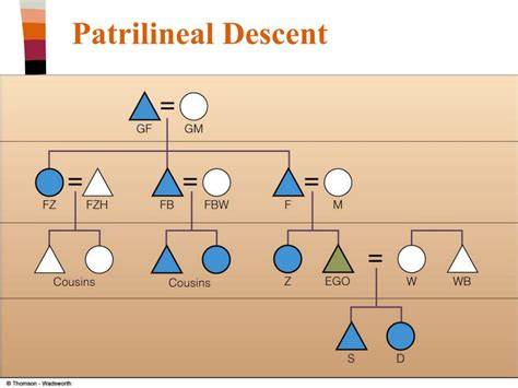 The Nature Of Kinship Descent Groups