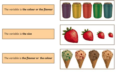 What is a Variable? - Answered - Control & Experiment Groups