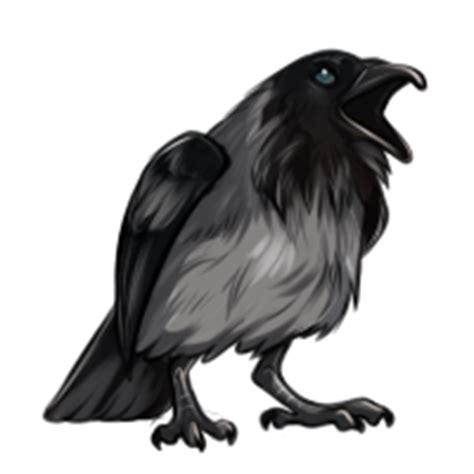 Piebald Raven by TokoTime on DeviantArt