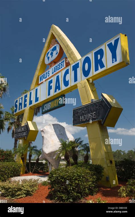 Fort myers shell hi-res stock photography and images - Alamy