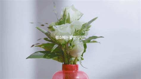 The aesthetically pleasing flower vase can also be used as a fire-extinguisher is made from ...