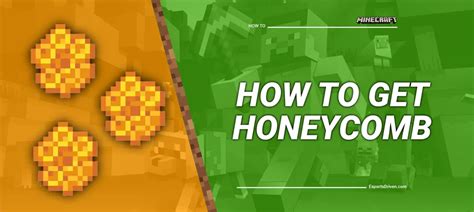 How to Get Honeycomb in Minecraft: A Step-by-Step Guide