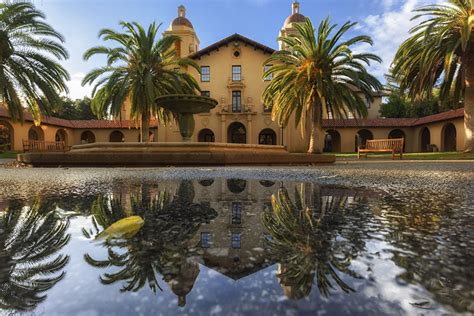 Classic Stanford scenes viewed through a fresh lens | The Dish