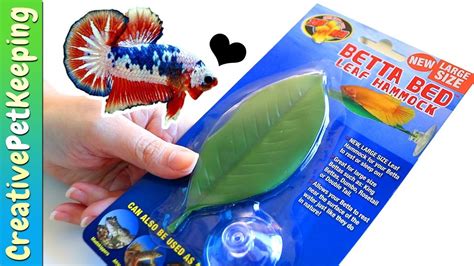 Betta Bed : Fish Aquatic Pets Zoo Med Betta Bed Leaf Hammock Aquarium Decor Ornaments / 36 ...