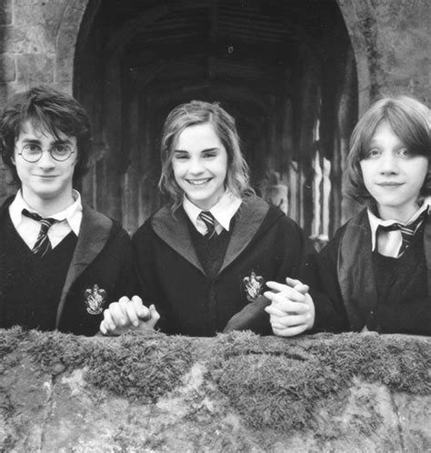 The "Trio" - Harry Potter Photo (35913183) - Fanpop