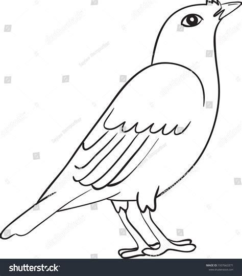 Bird Drawings Black And White