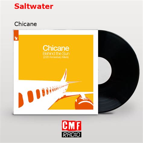 La historia y el significado de la canción 'Saltwater - Chicane