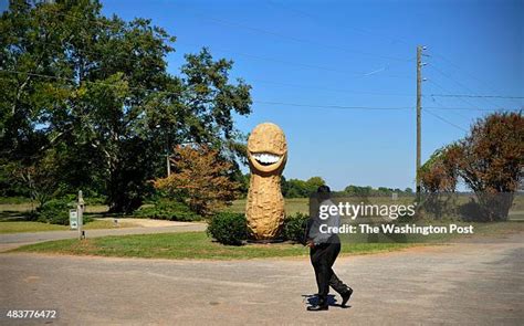 Jimmy Carter Peanut Statue Photos and Premium High Res Pictures - Getty ...