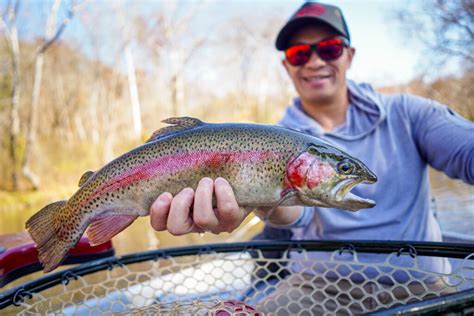 South Holston River Map | Float and Wade Fishing Guide