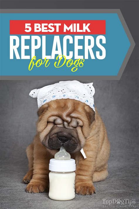 Top 5 Best Puppy Milk Replacer Brands in 2018 (Enriched for Growth)