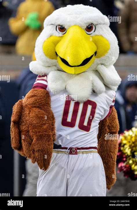 Boston college eagles mascot hi-res stock photography and images - Alamy