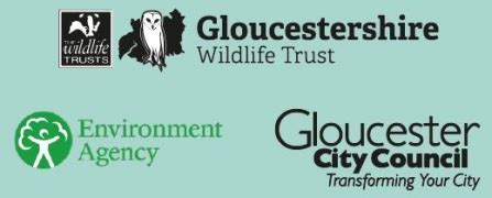 Rain gardens | Gloucestershire Wildlife Trust