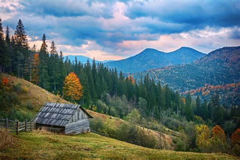 94,000+ Carpathian Mountains Ukraine Stock Photos, Pictures & Royalty-Free Images - iStock