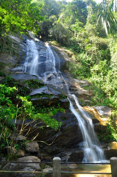 TIJUCA FOREST - AN URBAN FOREST IN THE HEART OF RIO! - Free Walker Tours