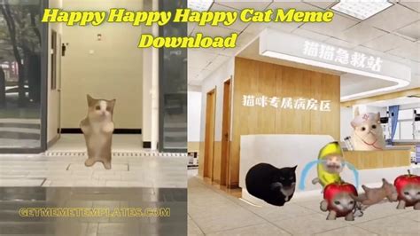 Popular Meme Clips For Youtube Video Editing Download - Get Meme Templates