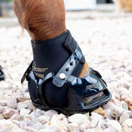 Protection Endurance - Scoot Boots Gaiter - Cheval