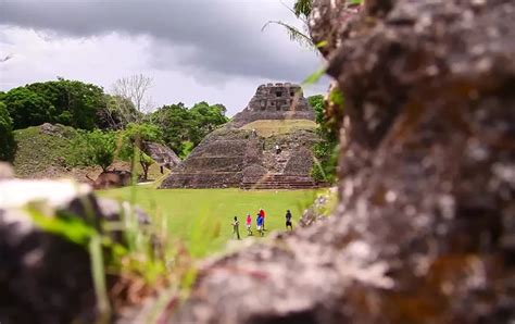 8 Rainforest Tours in Belize