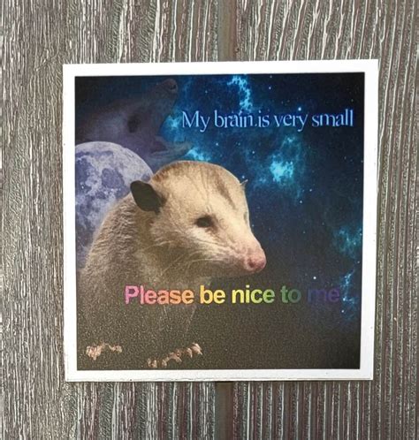 Opossum Meme Sticker - Exotic Pet Wonderland