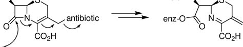 Scheme 1. Dual action mechanism of a generic cephalosporin coupled with... | Download Scientific ...