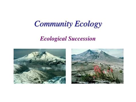 PPT - Community Ecology PowerPoint Presentation, free download - ID:3139586