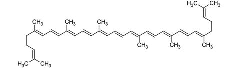 Lycopene: What is’t for, Where is it, Properties and Benefits