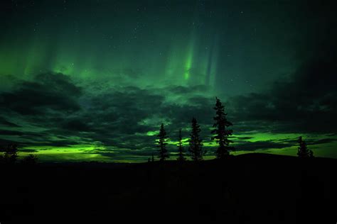 Yukon Northern Lights 3 Photograph by Lynda Fowler - Fine Art America