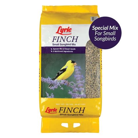 Lyric Finch Wild Bird Seed- Small Songbird Finch Food Ready-to-use Bird ...