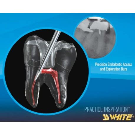 EndoGuide - Dentistree Online Shop