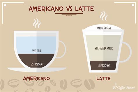 Americano vs Latte: The Differences Explained | Coffee Affection