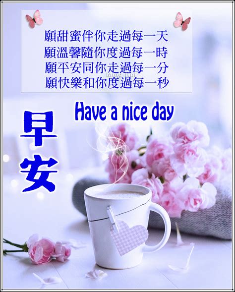 Pin by Tene Tene on 早安-简单幸福 | Morning greeting, Good morning greetings, Greetings
