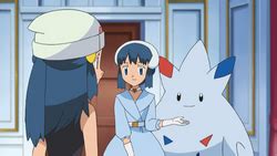 Dawn's Togekiss - Bulbapedia, the community-driven Pokémon encyclopedia