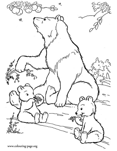 Bears - Mother bear and cubs eating fruits coloring page