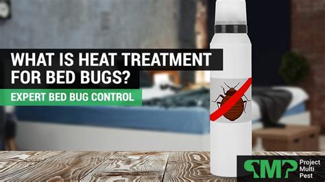 What is Heat Treatment for Bed Bugs? - Project Multi Pest