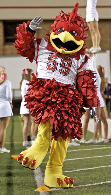 Cocky, Jacksonville State's Mascot | Jacksonville state, Mascot, Jacksonville